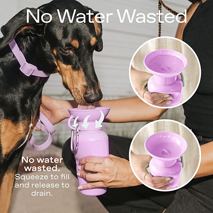 Mini Travel Water bottle - 450 ml / 15 OZ