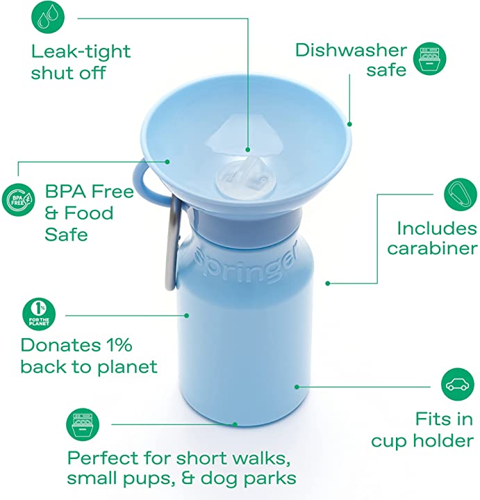 Mini Travel Water bottle - 450 ml / 15 OZ