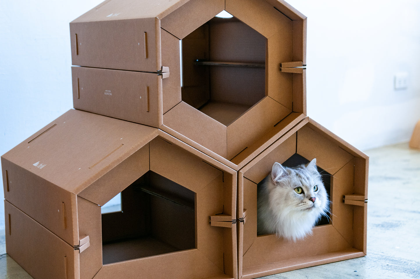 KARTONG God Hus Haocuo Pentagonal Corrugated Katthus (inklusive speciell skrapbräda)