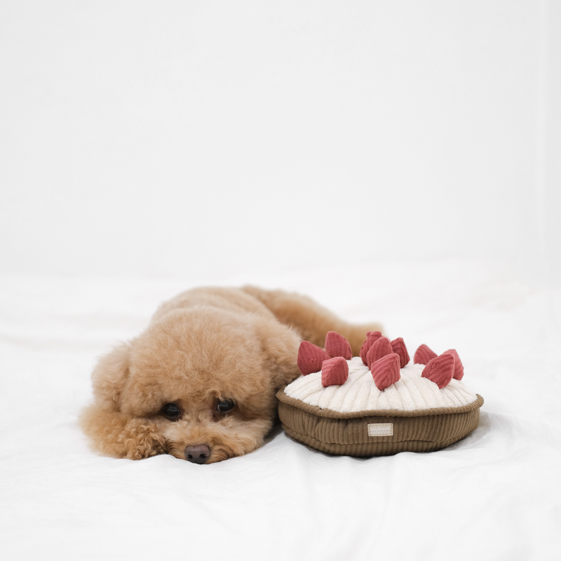 Berry Pie (Snuffle + Squeaky)