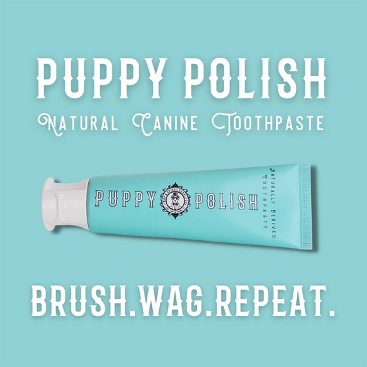 Puppy Polish Toothpaste - 100g