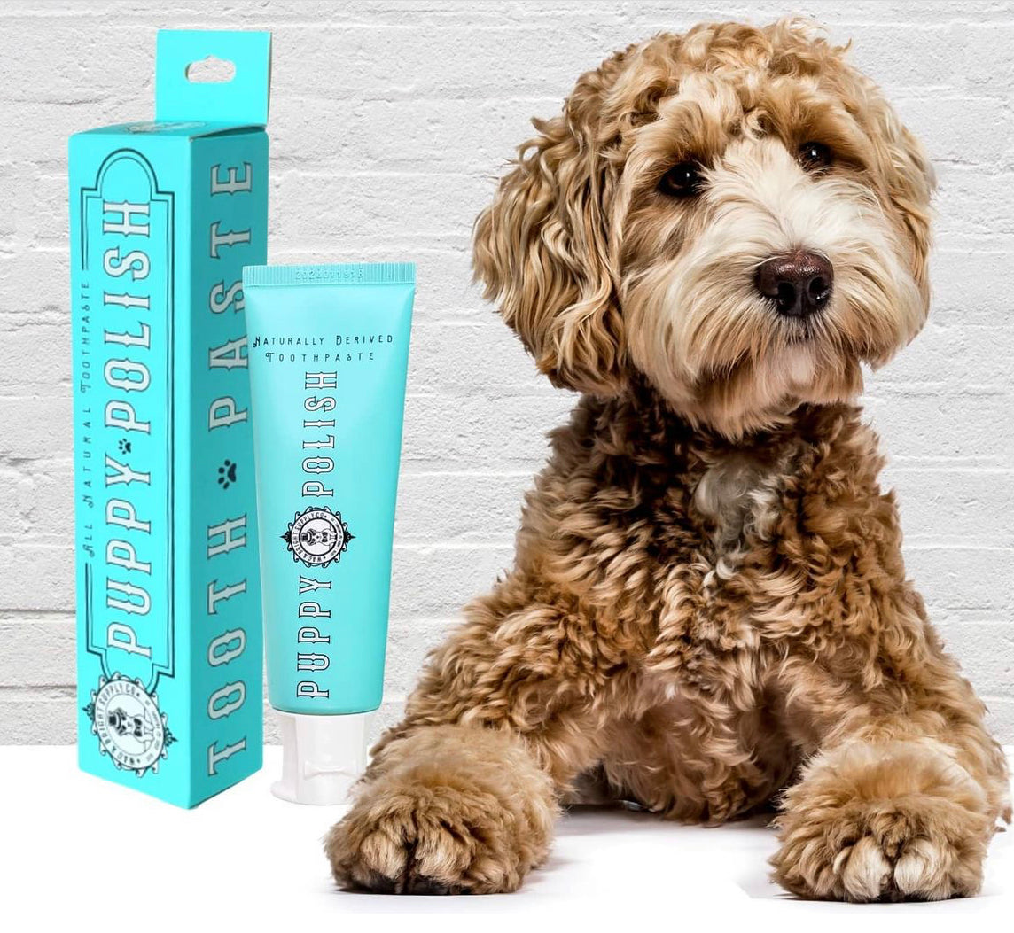 Puppy Polish Toothpaste - 100g