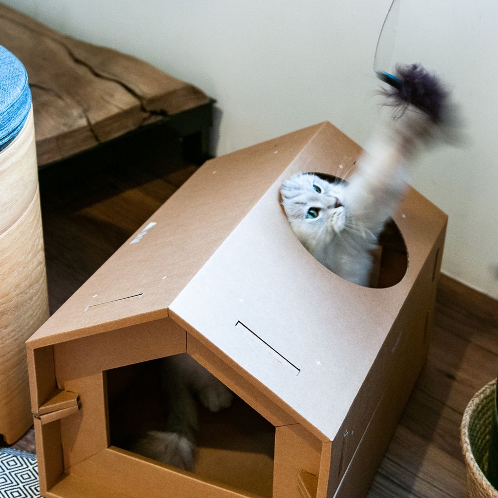 KARTONG God Hus Haocuo Pentagonal Corrugated Katthus (inklusive speciell skrapbräda)