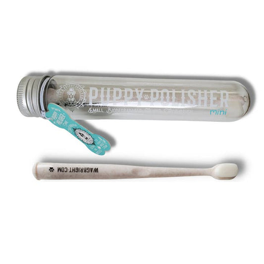 Puppy Polisher Eco Toothbrush