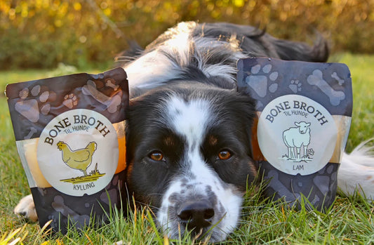 8 Reasons Bone Broth is the Superfood Your Pup Needs.