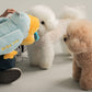 TUG-N-PLAY Toy