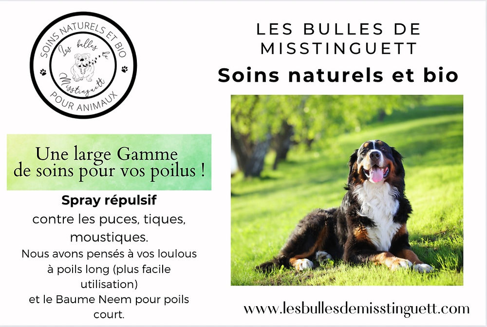 Repellent spray with neem oil for dogs and cats (Oil Drop)