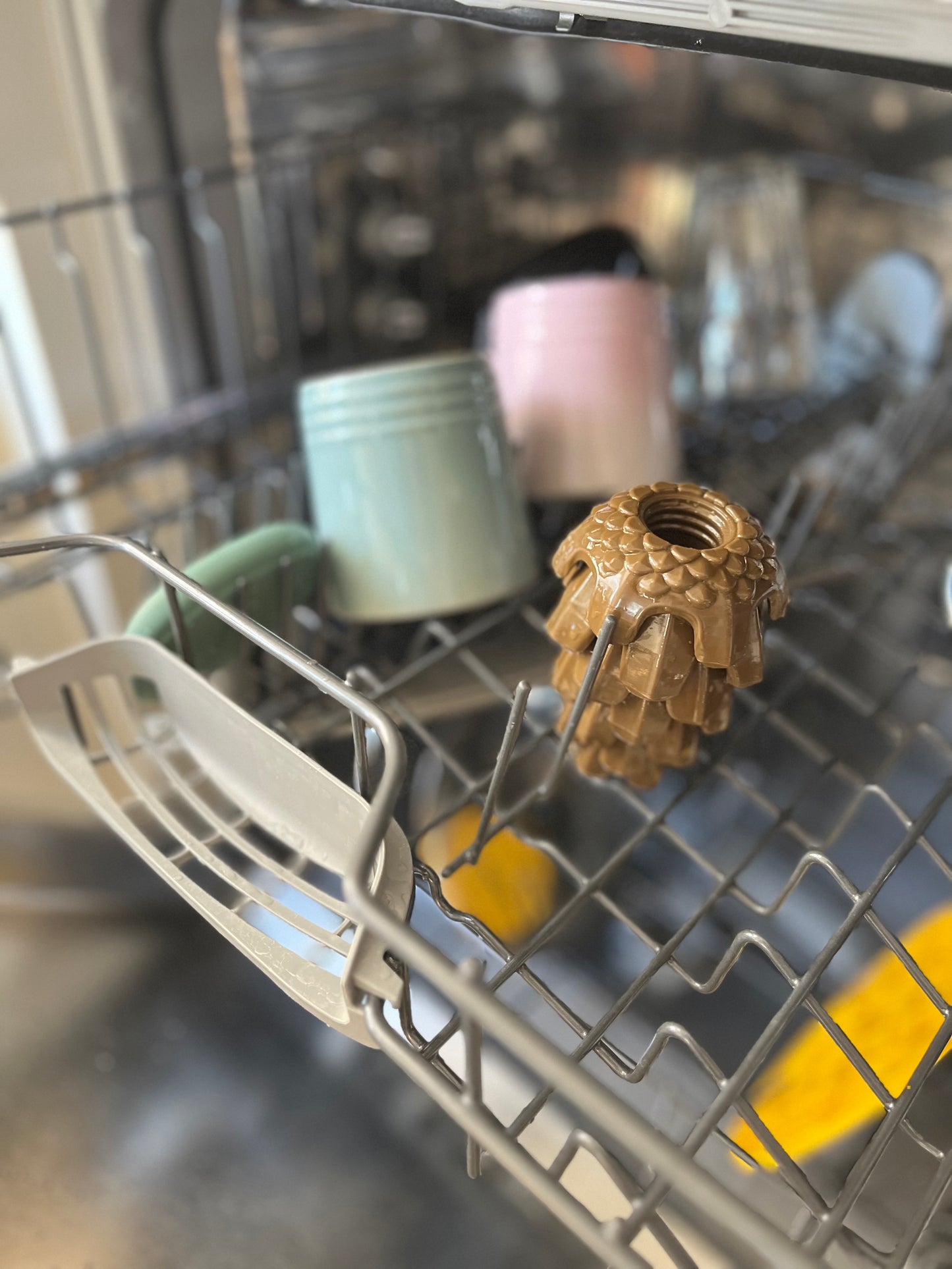 Loblolly Pinecone Puzzle Toy