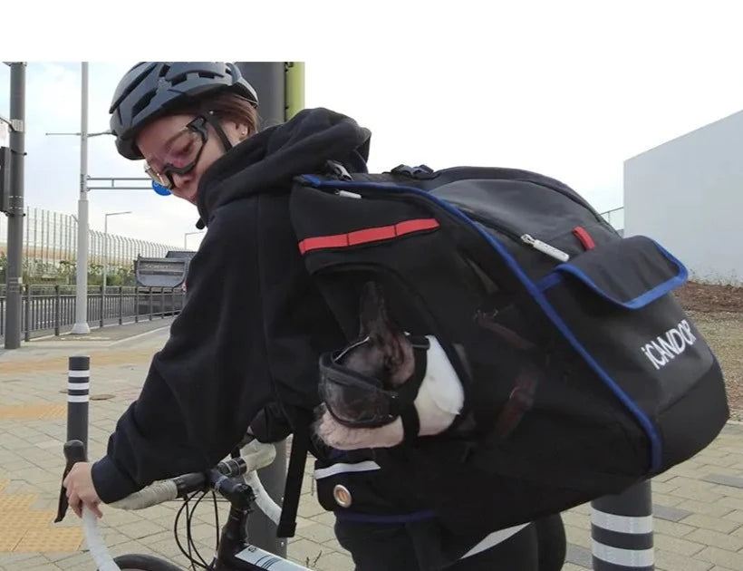 Jige Pet Backpack -  Dynamic Black (including Wooly Cushion - grey)