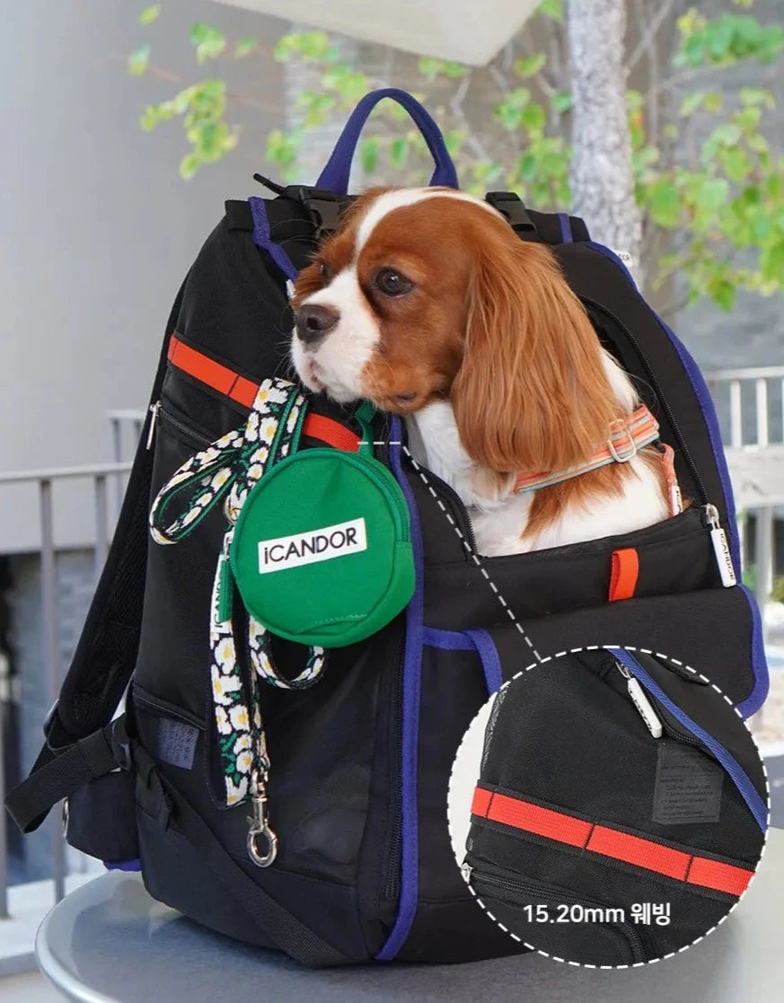 Jige Pet Backpack -  Dynamic Black (including Wooly Cushion - grey)