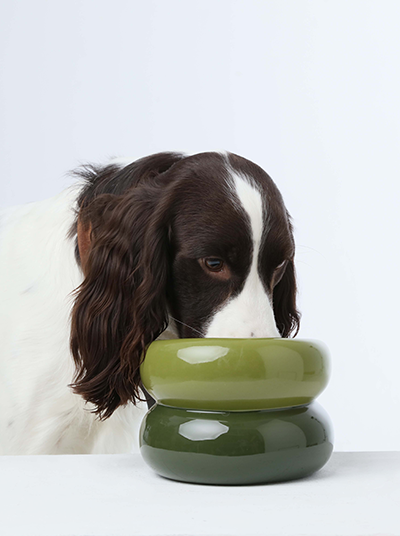 Souffle Pet Bowl - Avocado Green