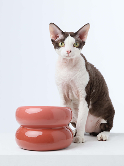 Souffle Pet Bowl - Rosa Pink