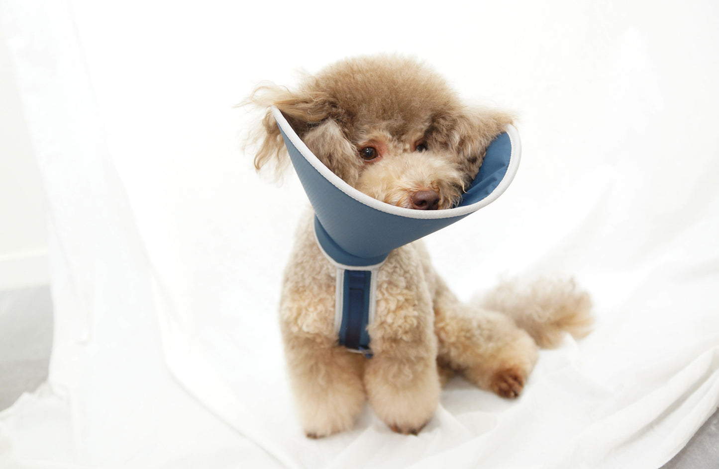 Half cone collar / elizabethan collar for pet