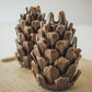Loblolly Pinecone Puzzle Toy