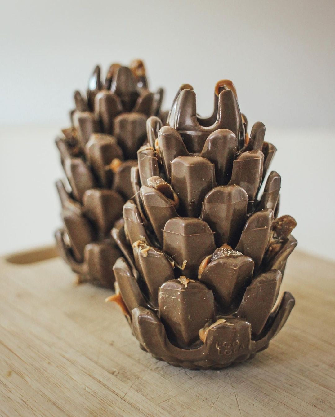 Loblolly Pinecone Puzzle Toy
