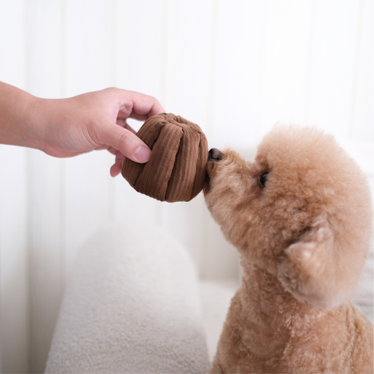 Canele (Squeaky + Snuffle )