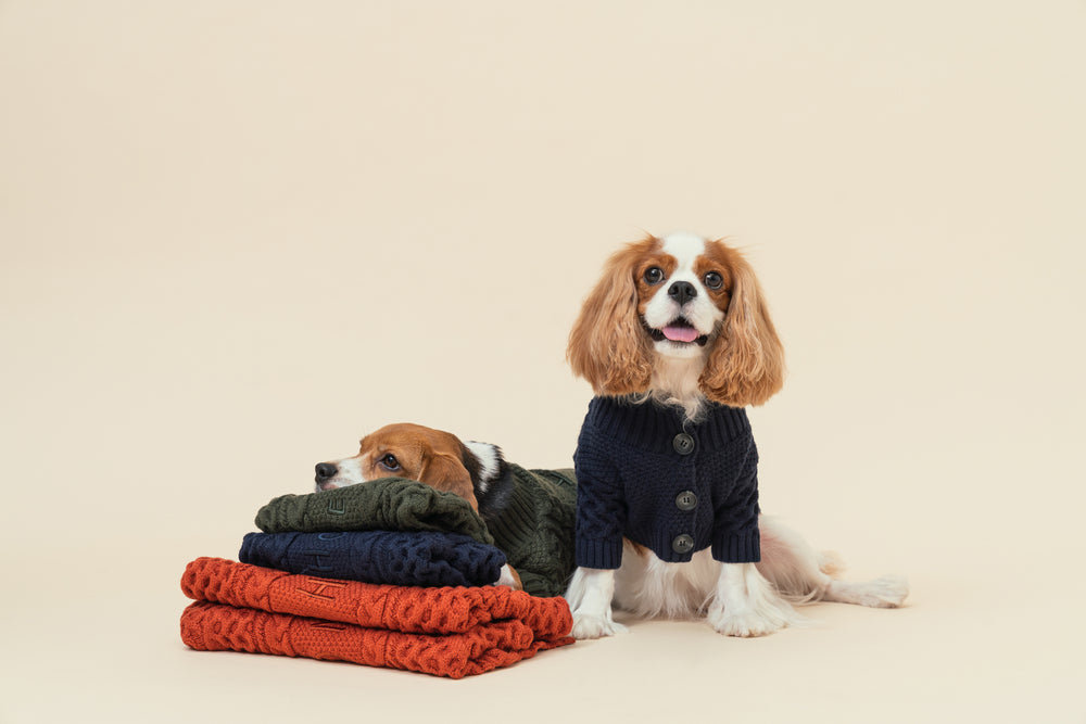 Bert Cardigan Sweater
