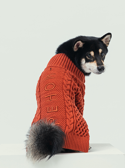 Bert Cardigan Sweater