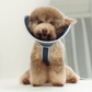 Half cone collar / elizabethan collar for pet