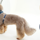 Half cone collar / elizabethan collar for pet