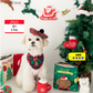 Christmas Nosework Playbook