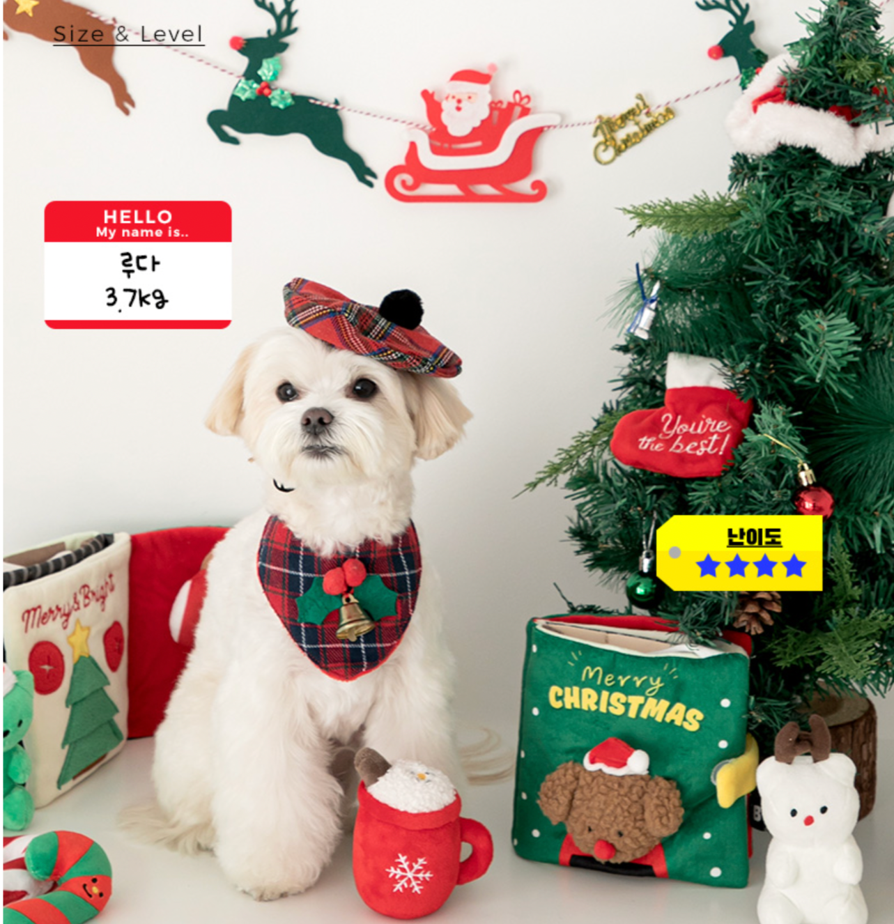 Christmas Nosework Playbook