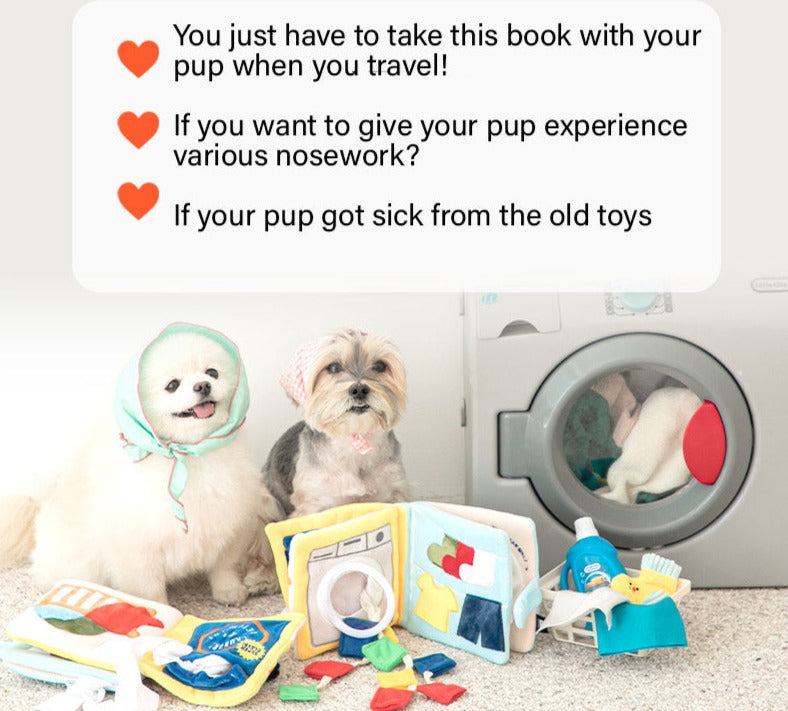 lt's Laundry Day Playbook