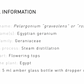 Organic Rose Geranium - Essential Oil - 5ml