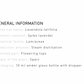 Organic Lavender Aspic - Essential Oil - 10ml