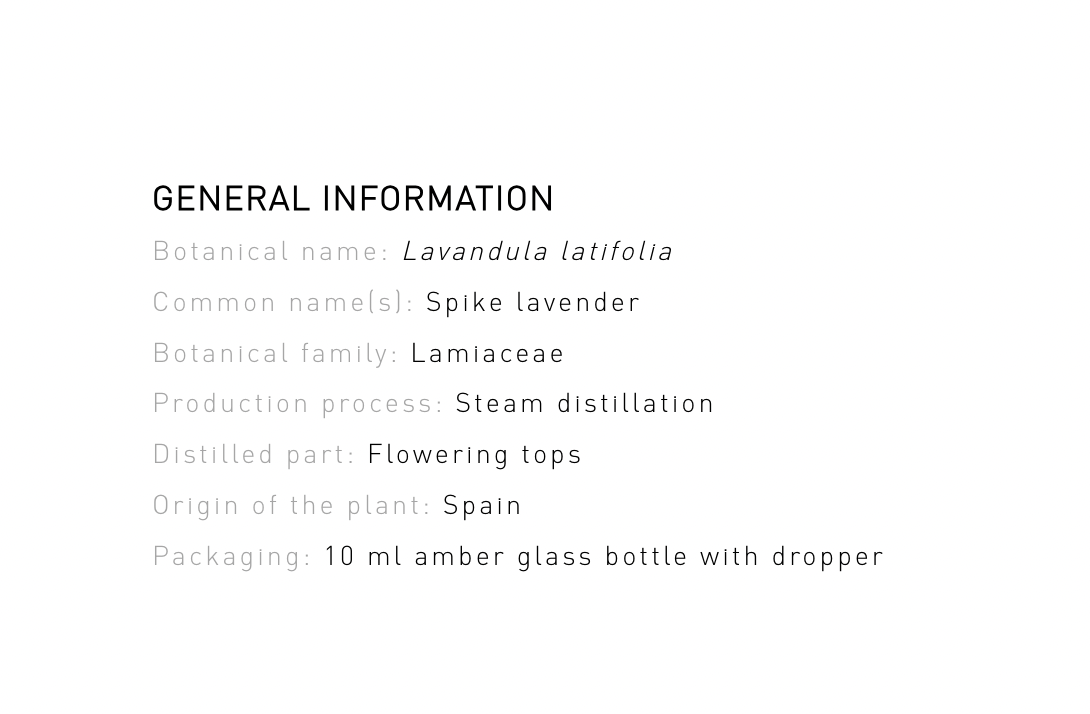 Organic Lavender Aspic - Essential Oil - 10ml