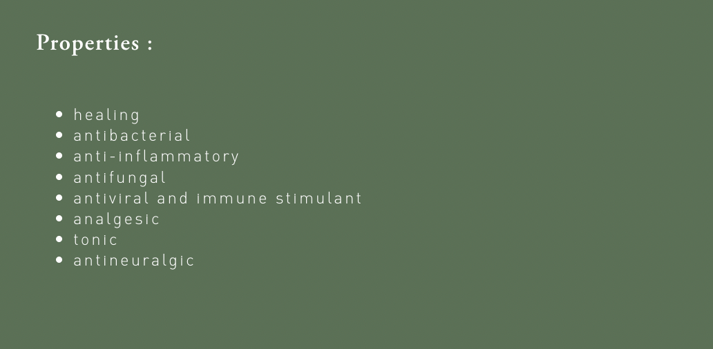 Organic Lavender Aspic - Essential Oil - 10ml