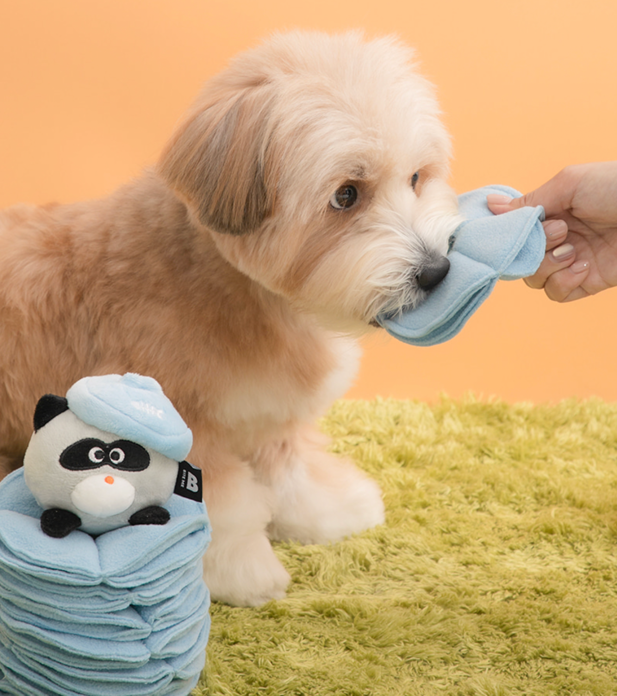 Poki Pocket Nosework Toy