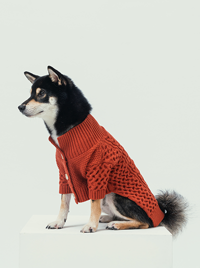 Bert Cardigan Sweater