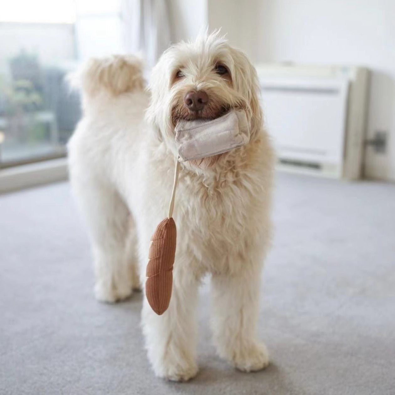 Mini Baguette (Enrichment pockets + Squeaky+ Snuffle)