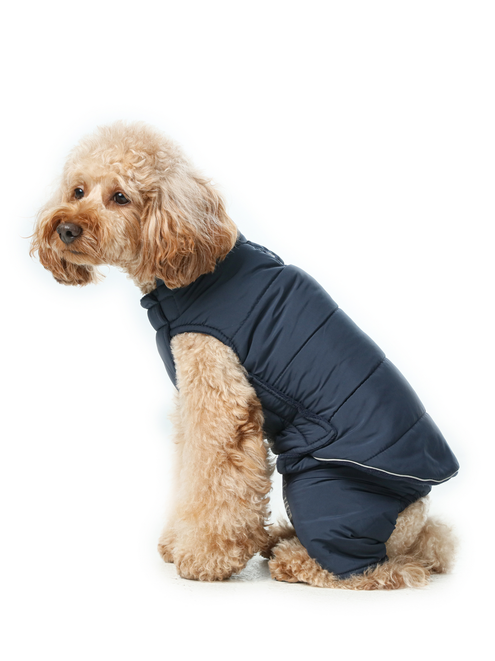 Reversible Dog Vest Jacket (Only Vest)