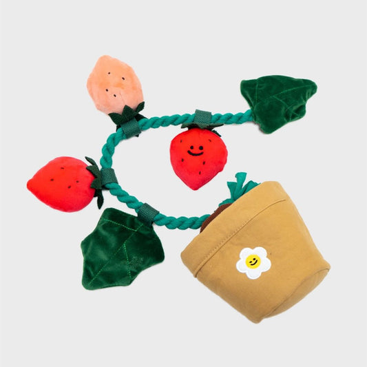 Organic Strawberry Farm Sniff Toy - Garden