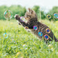 Catnip Bubbles
