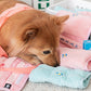Fluffy Towel Toy Set  (2pcs Blue + Pink)