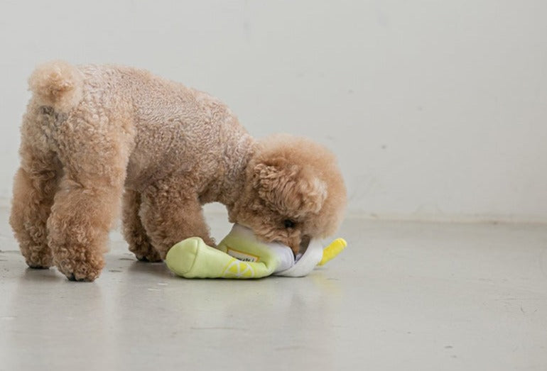 Secondmorning Lemonade Nosework Toy