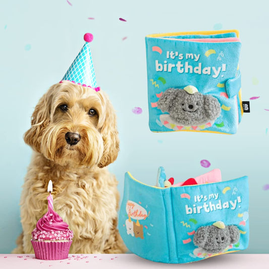 My Birthday Playbook