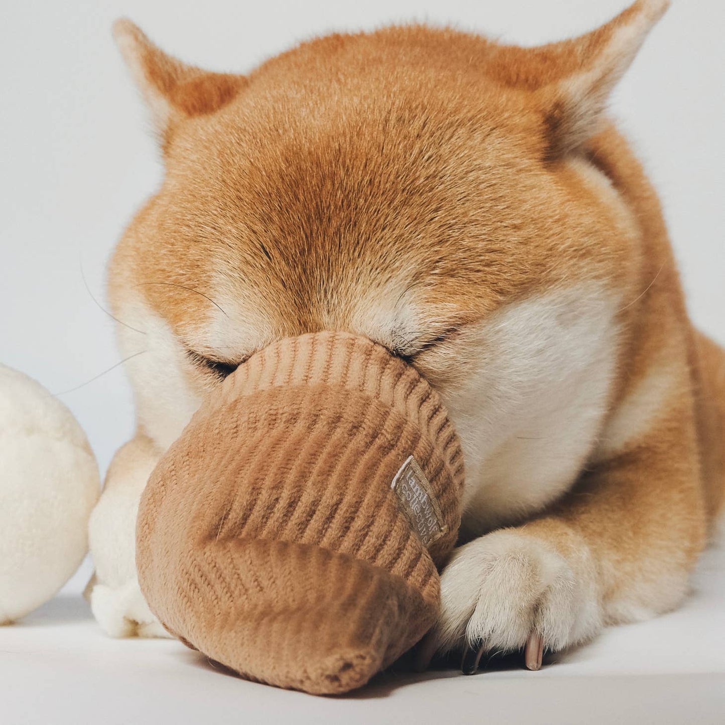 Ice Cream POP (Snuffle + Bouncy ball )
