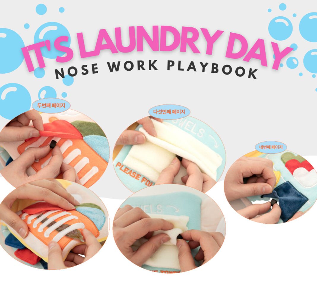 lt's Laundry Day Playbook