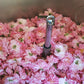 Rose Absolute 10% - 5ml