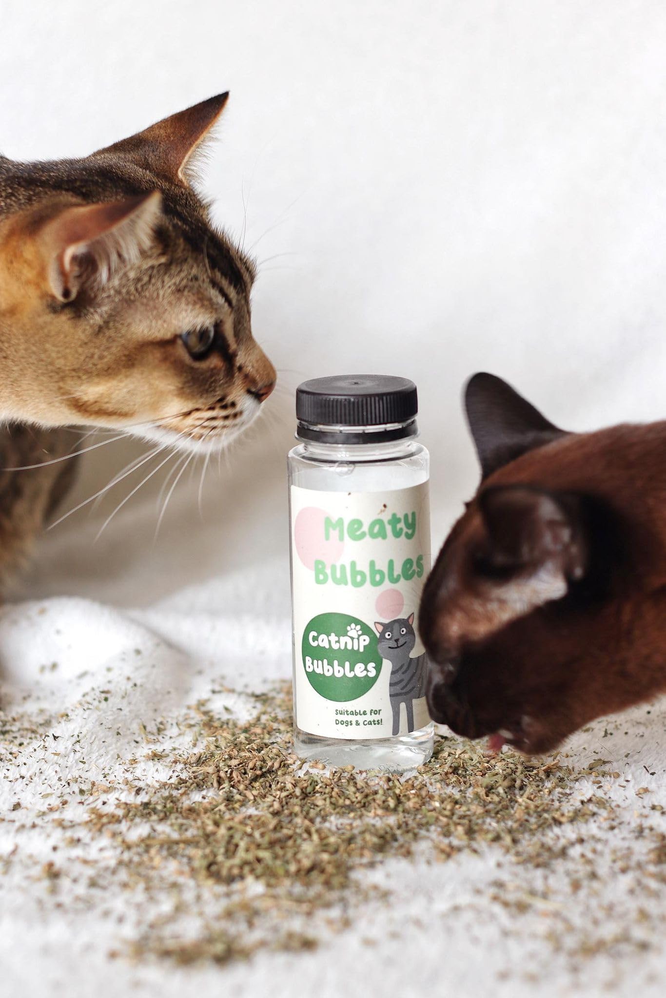 Catnip Bubbles