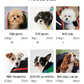 Jige Pet Backpack -  Dynamic Black (including Wooly Cushion - grey)