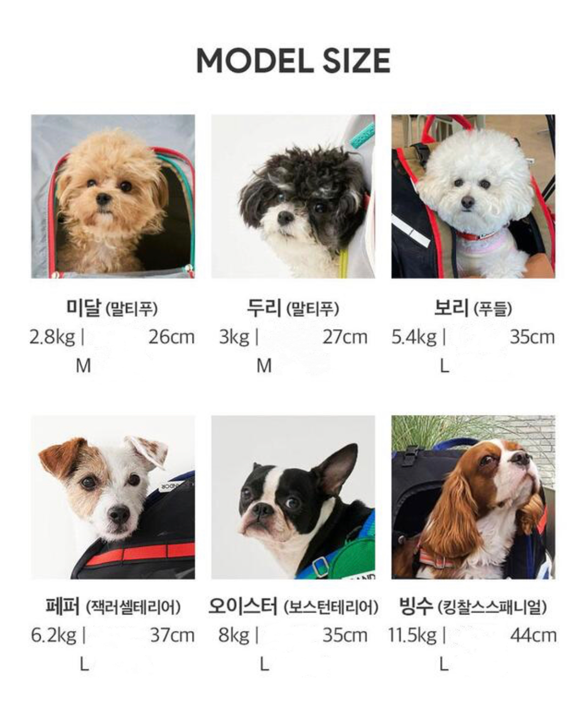 Jige Pet Backpack -  Dynamic Black (including Wooly Cushion - grey)
