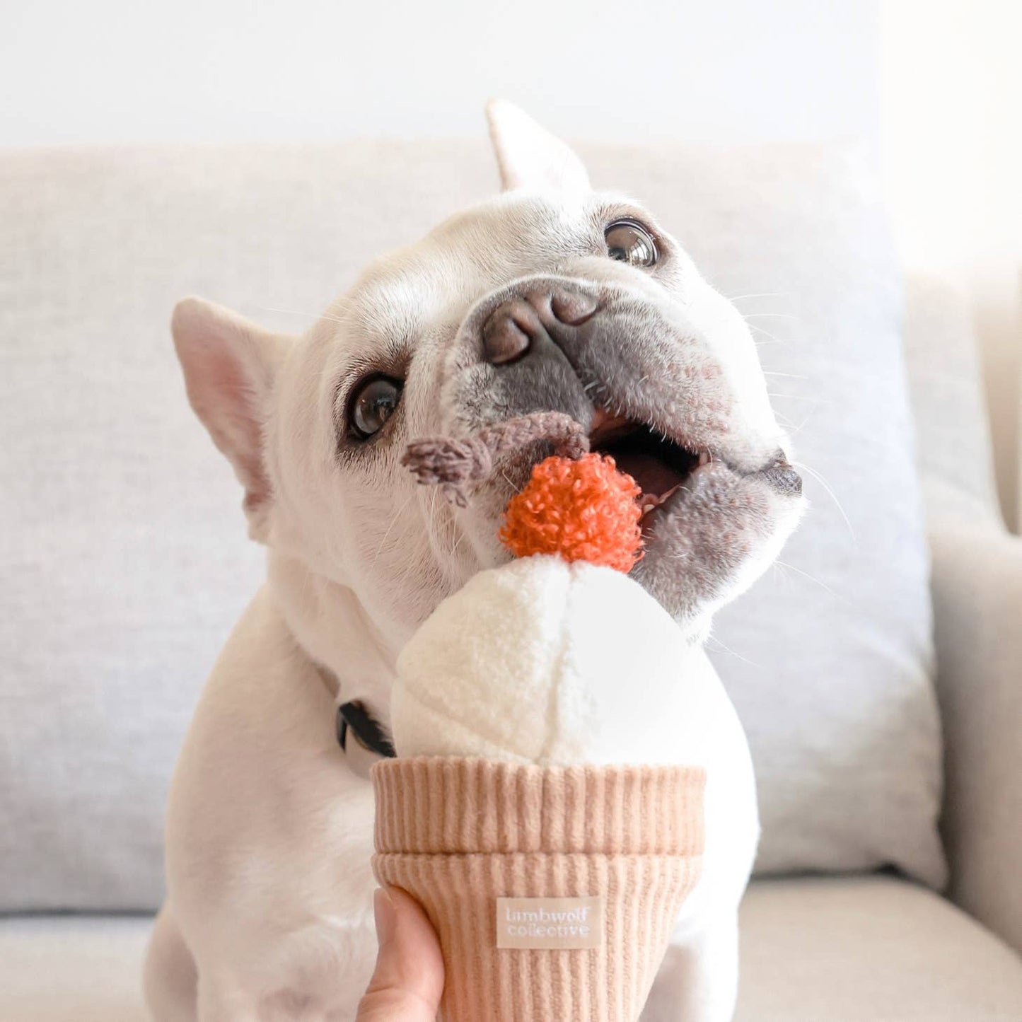 Ice Cream POP (Snuffle + Bouncy ball )