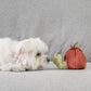 Apple (Crinkly + Burrow+ Snuffle)