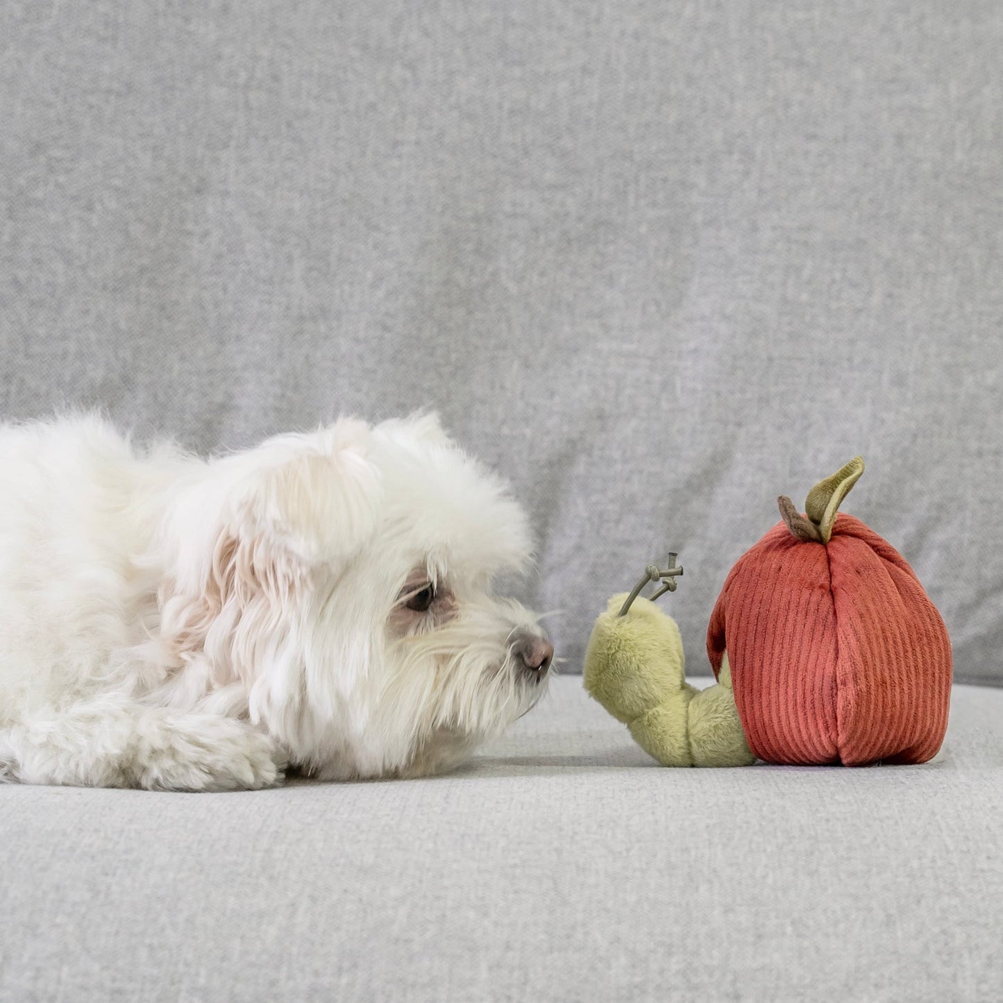 Apple (Crinkly + Burrow+ Snuffle)