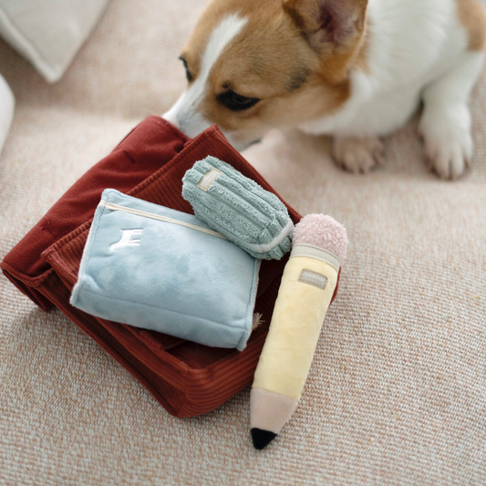 Back to School (Snuffle + Burrow )